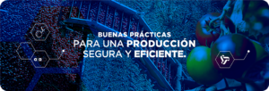 Buenas Prácticas para una Producción Segura y Eficiente.
